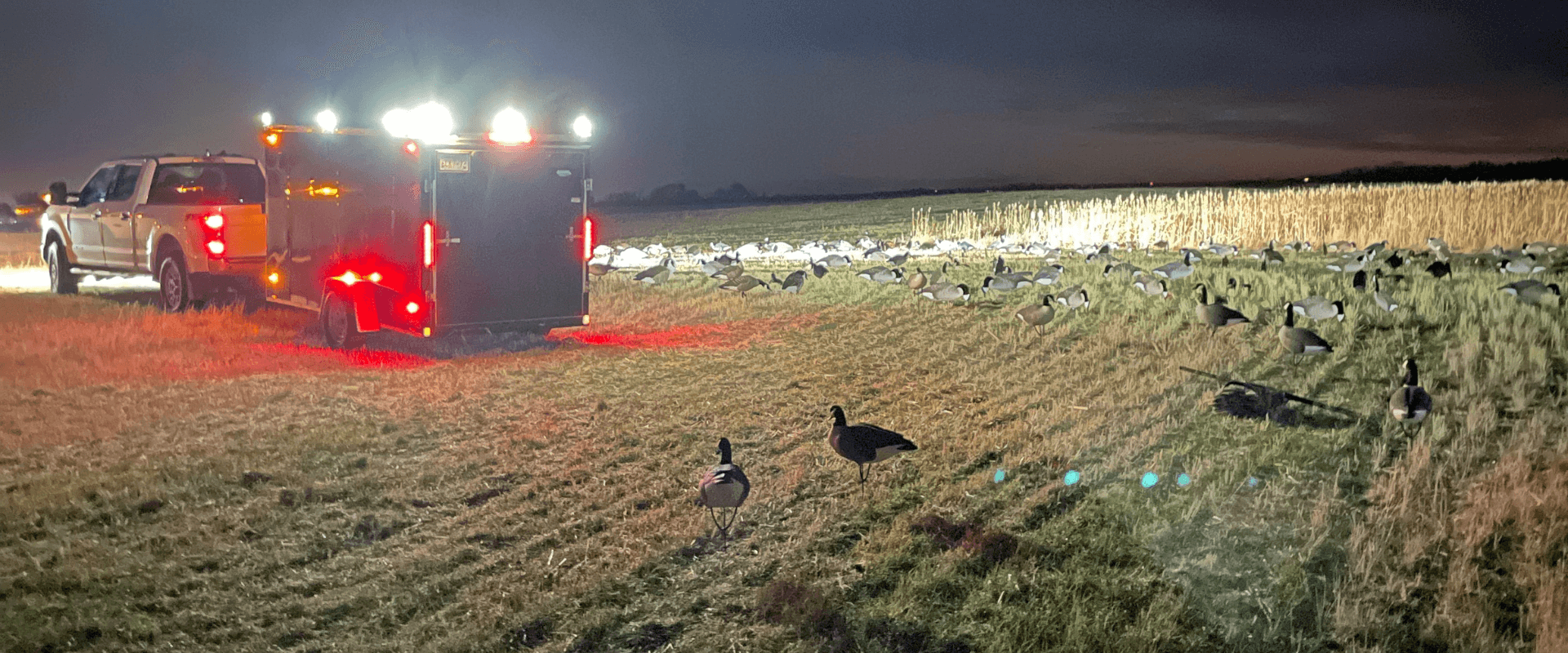 Setting up decoys early in the morning for a day of waterfowl hunting in Alberta